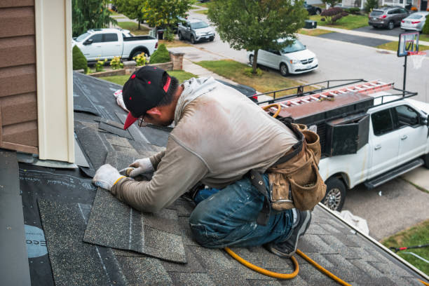 Professional Roofing technician working in Elfers, FL